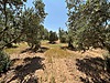 Satılık Arsa Fiyatları