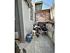 Sahibinden.com