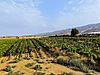 Sahibinden.com