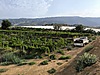 Sahibinden.com