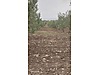 Sahibinden.com