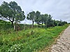 Sahibinden.com