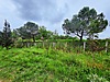 Sahibinden.com