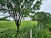Sahibinden.com