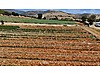 Tarla imarlı arsa
