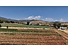Satılık Arsa İlanları