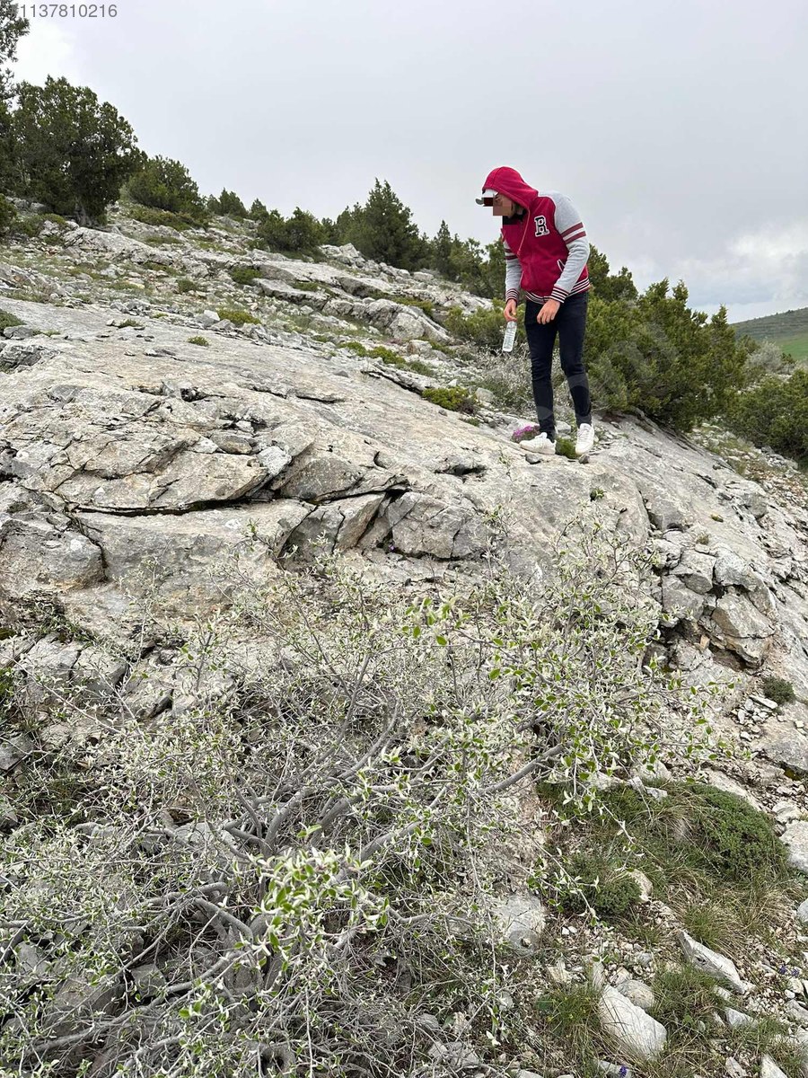 KONYA SATILIK MERMER OCAĞI sahibinden comda 1137810216