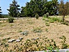 Sahibinden.com