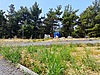 Sahibinden.com