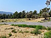 Sahibinden.com