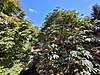 Sahibinden.com