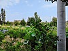 Emlak / Konut / Satılık / Müstakil Ev