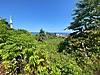 Giresun Satılık Arsa