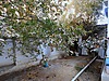 Sahibinden.com