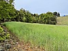 Sahibinden.com