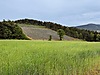 Sahibinden.com