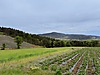 Sahibinden.com