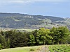 Sahibinden.com