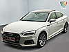 Benzinli Otomobil Audi