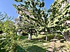 ÖZBOLLUKTAN ALTINOLUKTA HAVUZLU SİTEDE 2+1 SATILIK LÜKS DAİRE - Satılık Daire İlanları sahibinden.com'da