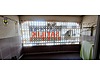 Sahibinden.com