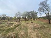 Sahibinden.com