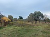 Sahibinden.com