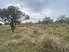 Sahibinden.com