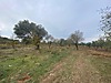 Sahibinden.com