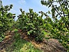 Sahibinden.com