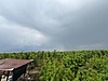 Sahibinden.com