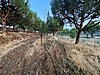 Tarla imarlı arsa