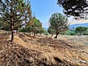 Satılık Arsa