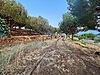 Altıntaş Mh. Satılık Arsa