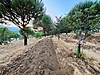 Satılık Arsa İlanları