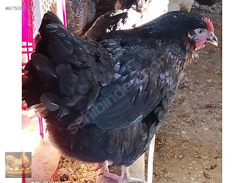 5mljmqwjrs7uvm 5mljmqwjrs7uvm