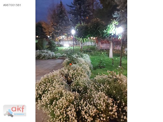 alparslan mah kayseri park yani satilik daire satilik daire ilanlari sahibinden com da 967001561