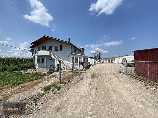 Kiralık Tavuk Çiftliği Sahibinden
