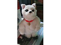 Oyuncak dansçı kedi