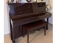 Pearl River UP115M2 Akustik Duvar Piyanosu