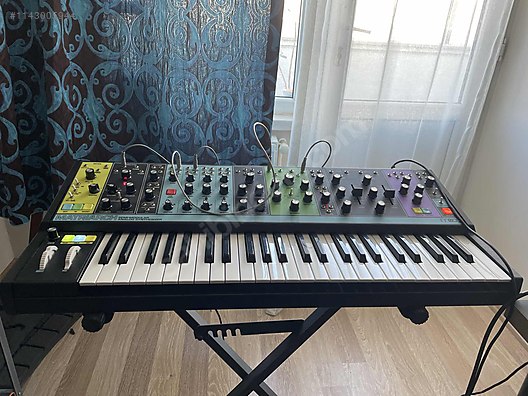 Used moog store matriarch