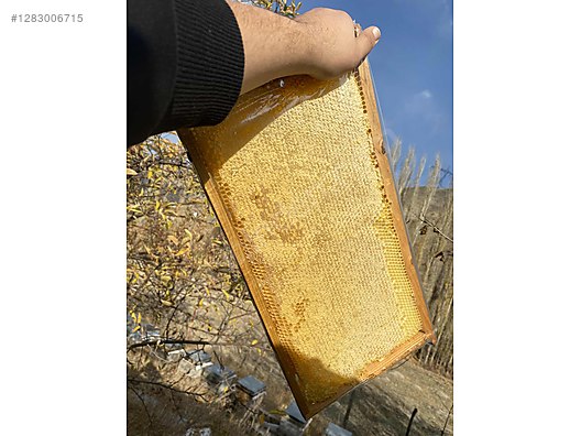 Used & Brand New Items / Foods & Feed / Delicatessen / Honey