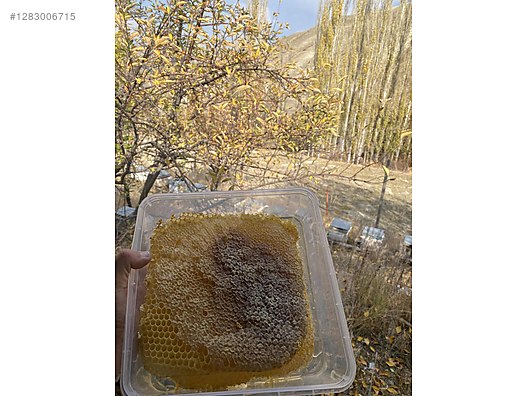 Used & Brand New Items / Foods & Feed / Delicatessen / Honey