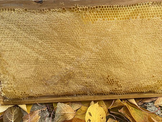 Used & Brand New Items / Foods & Feed / Delicatessen / Honey