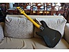 Schecter Elektro Gitar
