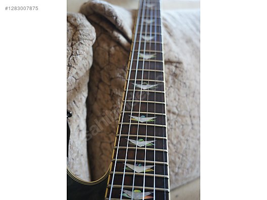 Schecter Elektro Gitar