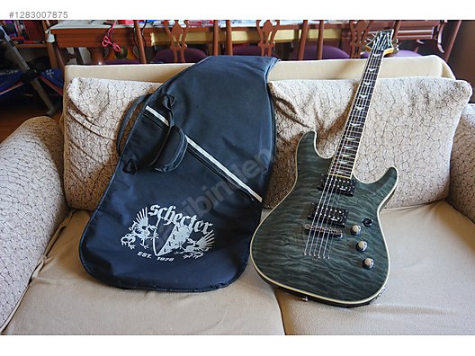 Schecter Elektro Gitar