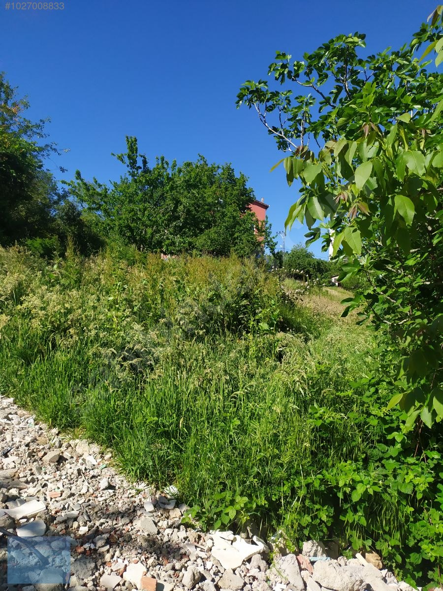 BEYKOZ Örnekköy de 550 M2 hisseli 2b arsa Satılık Müstakil Ev