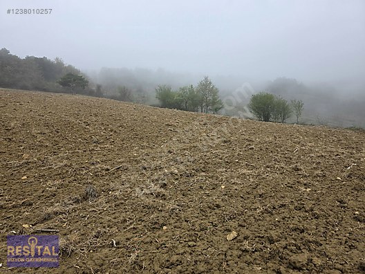 RESİTAL VİZYON DAN YENİŞEHİR KIZILKÖY SATILIK TARLA
