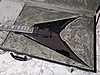 ESP Elektro Gitar